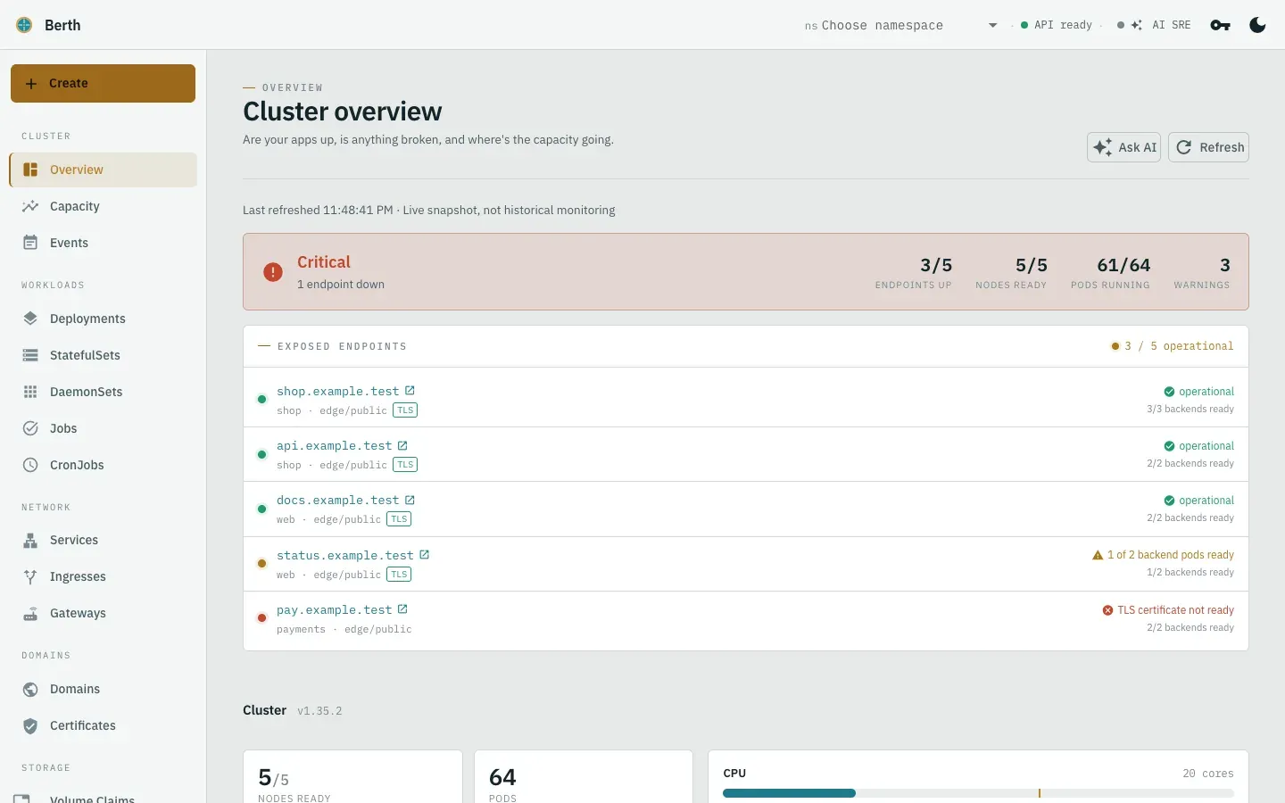 Berth cluster overview: a critical banner reports one endpoint down, above a list of exposed endpoints with their backend and TLS status.